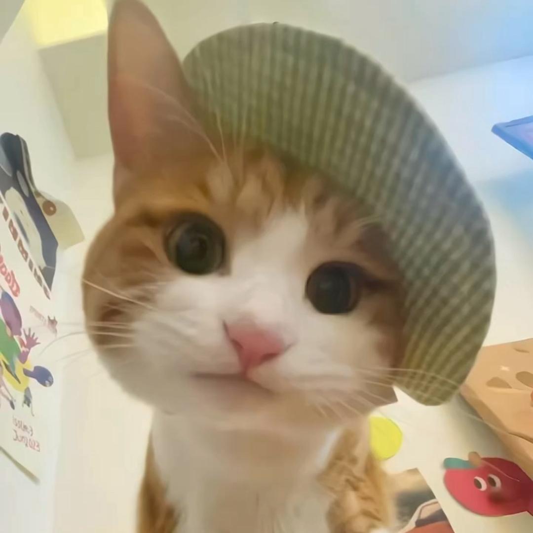 QQT