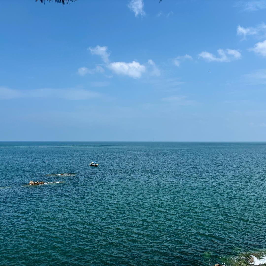 雲泽-申子辰🌊