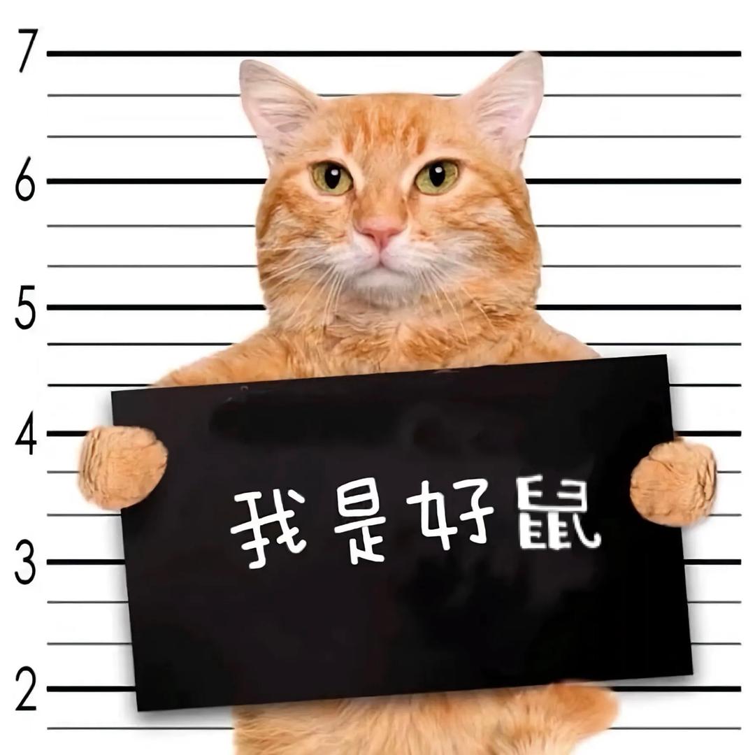 三只宋鼠（三角洲行动）