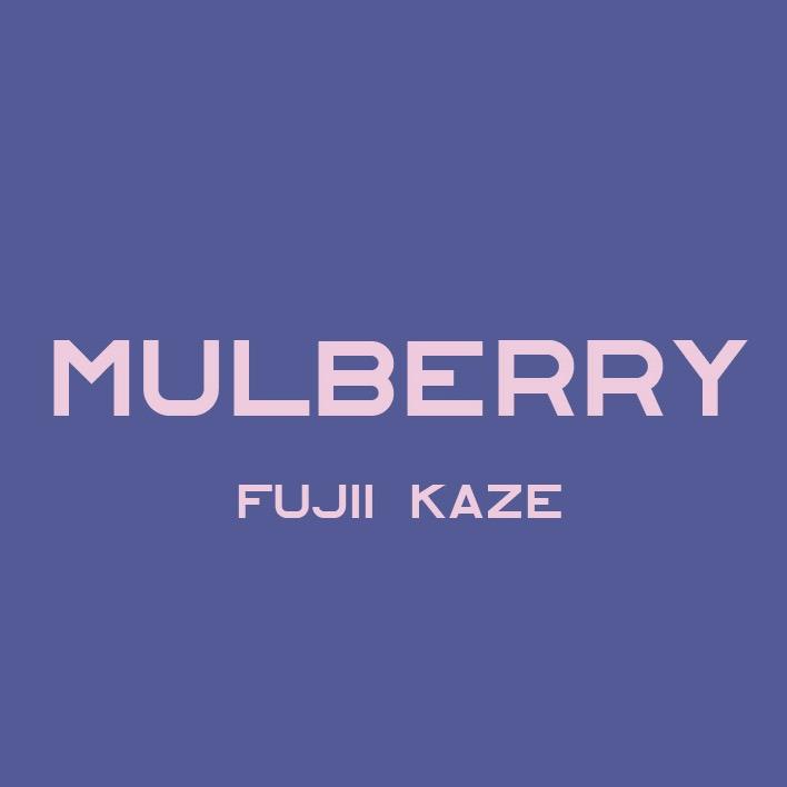 桑葚Mulberry
