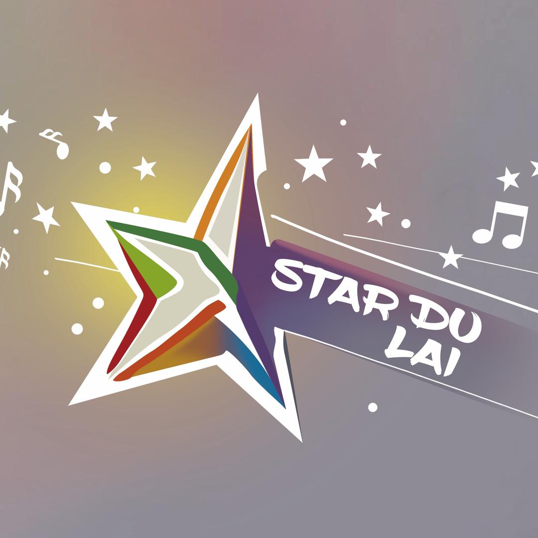 星都莱文化传媒有限公司