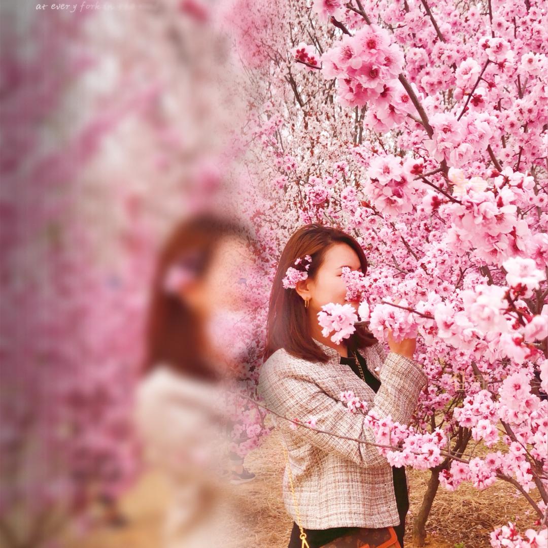 @土鸡蛋🍳一枚