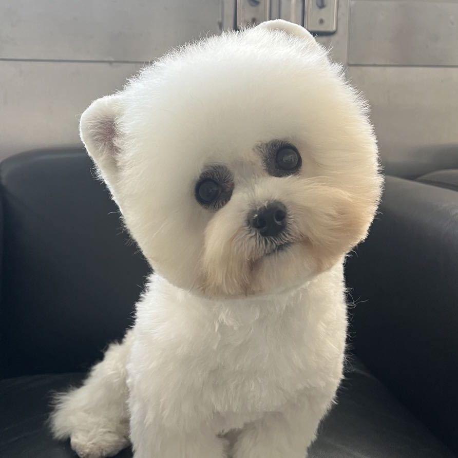 汪小宅萌宠犬舍🐶