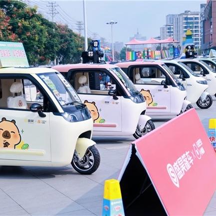 （北京）金桥新能源电动车行