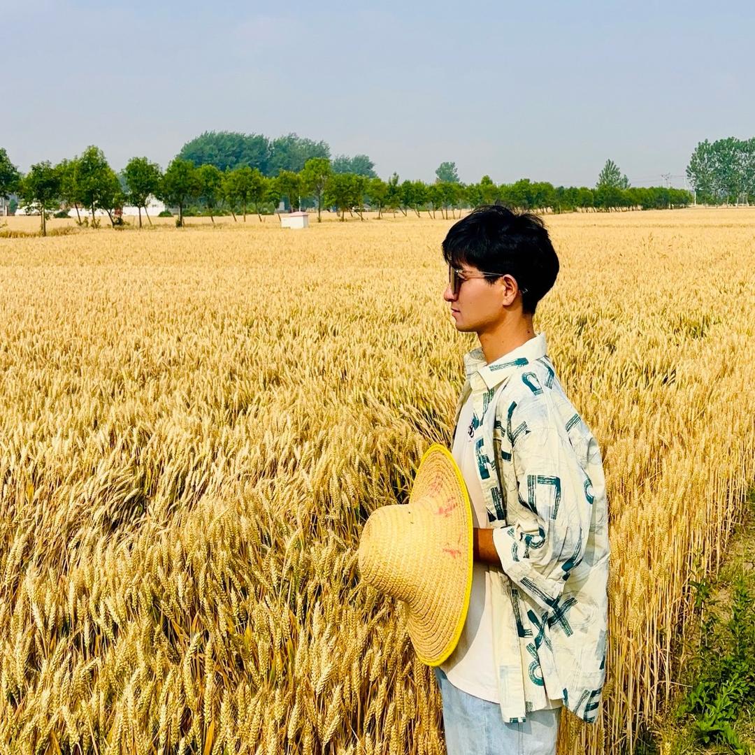 李早晨