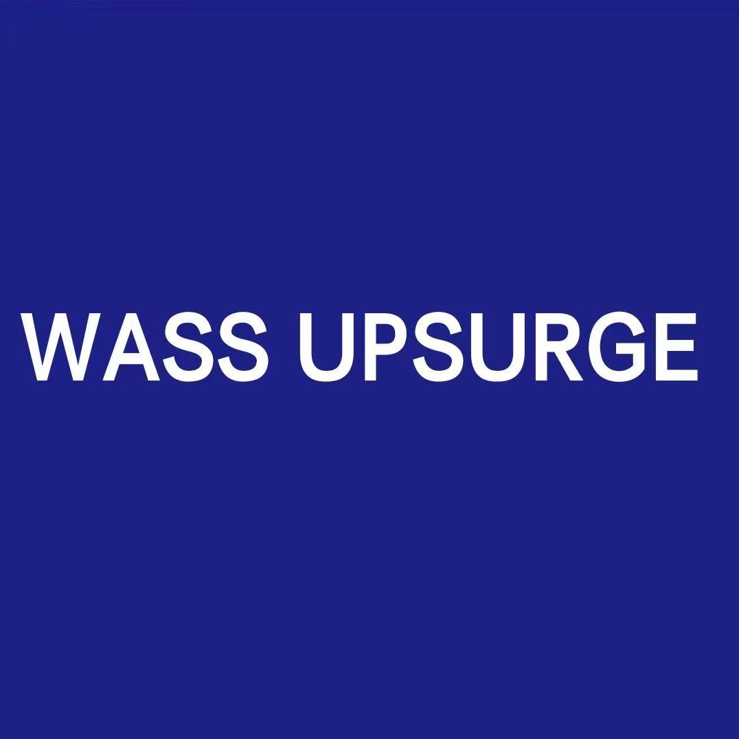 WASS UPSURGE杰尼斯服饰专卖店