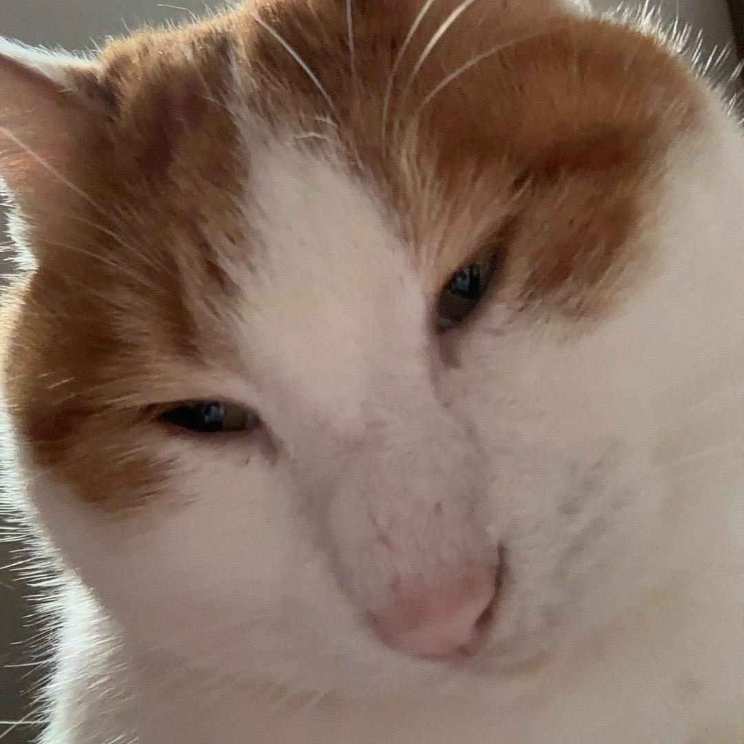 一般路过蛋✖️