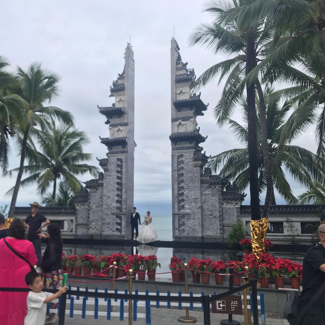 光芯低5新