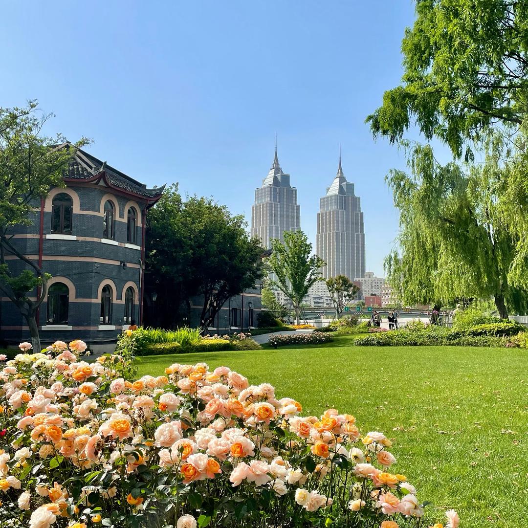 理想主义的现实主义者