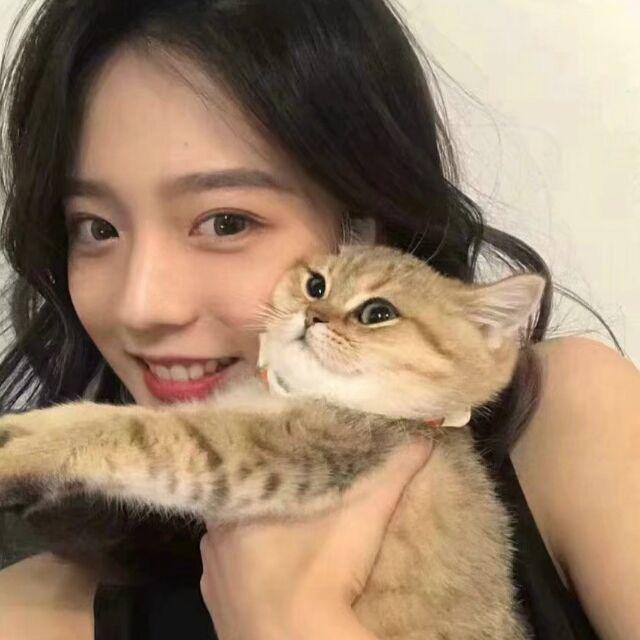 -晚不了安
