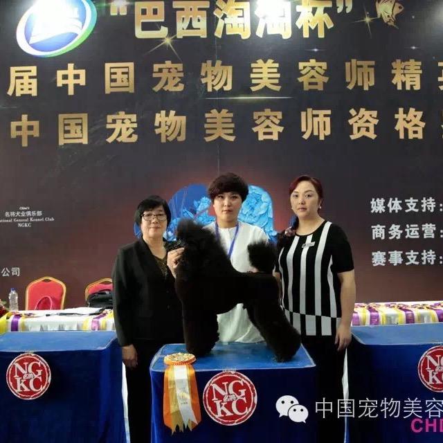 教你剪毛的王老师