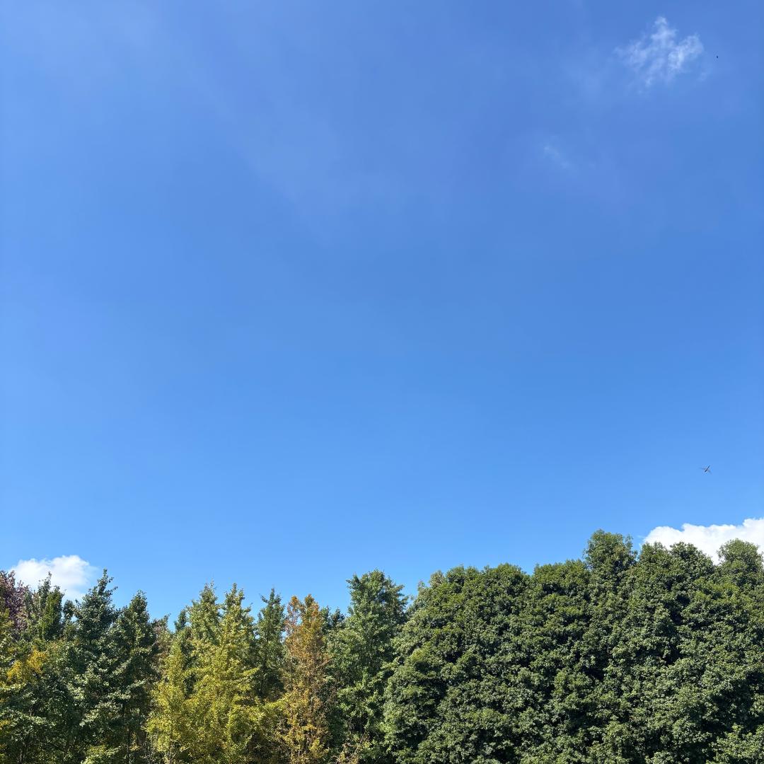 。。.