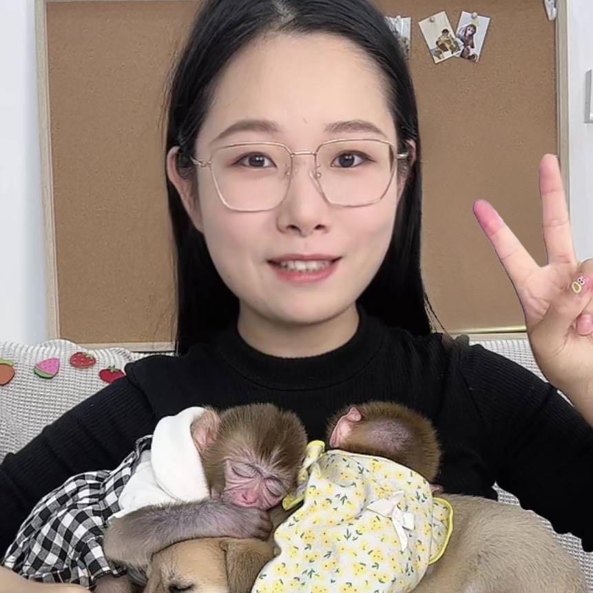 🐲君君是个饲养员🐒