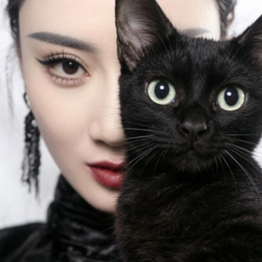 招财猫的小铃铛