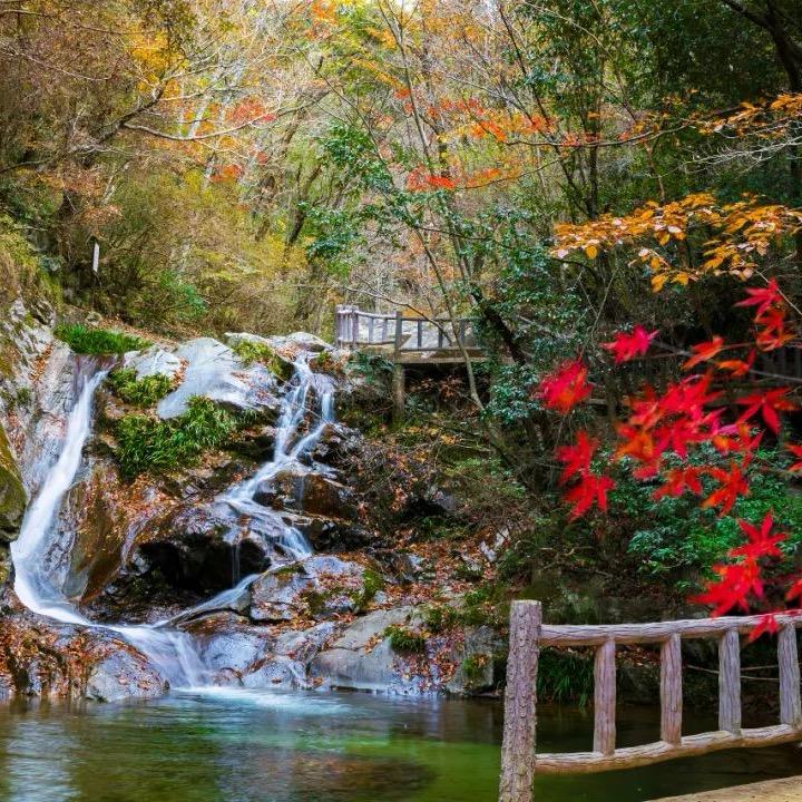 英山·十里桃花溪