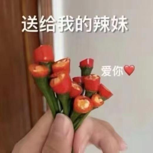V1cky(无畏契约)