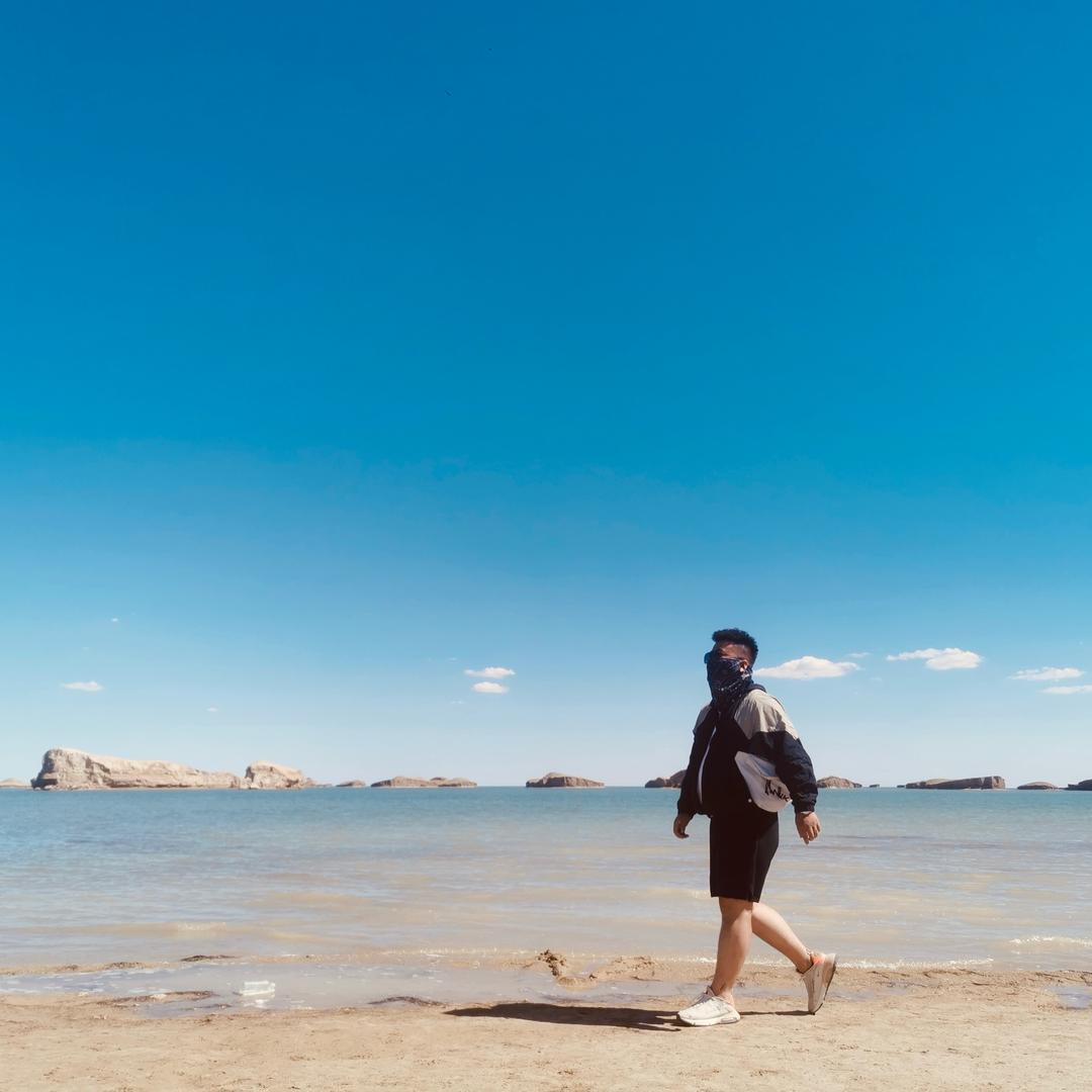 樊子|和白色大象