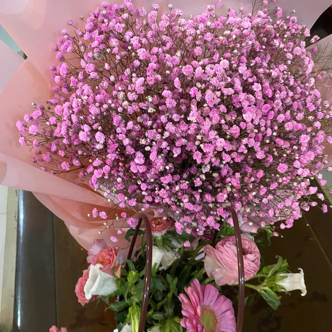 静待花开hong