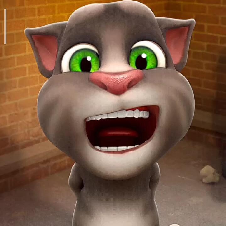 爱捣蛋的汤姆猫