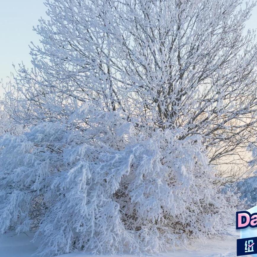 妳の用户喵“^”