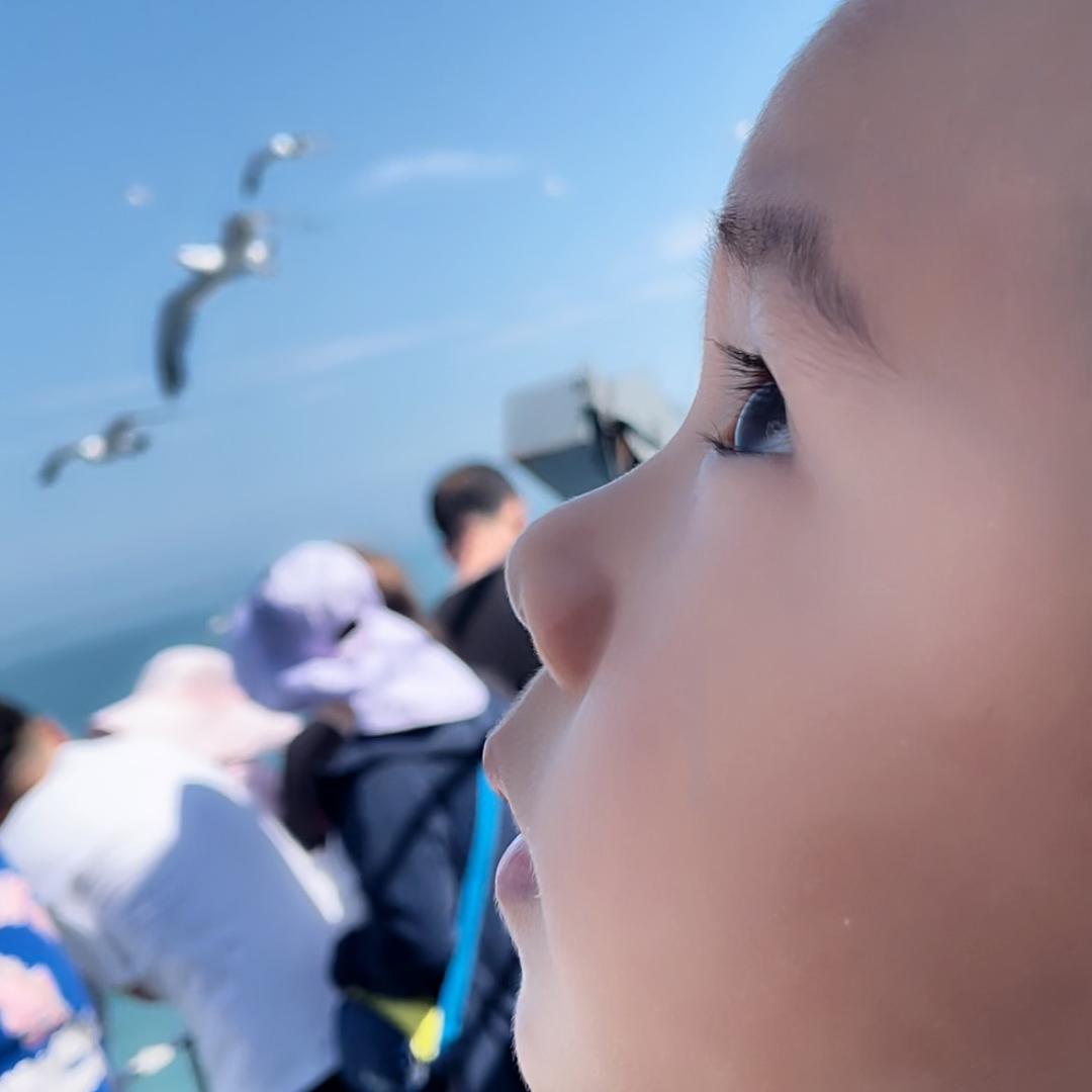 都宝