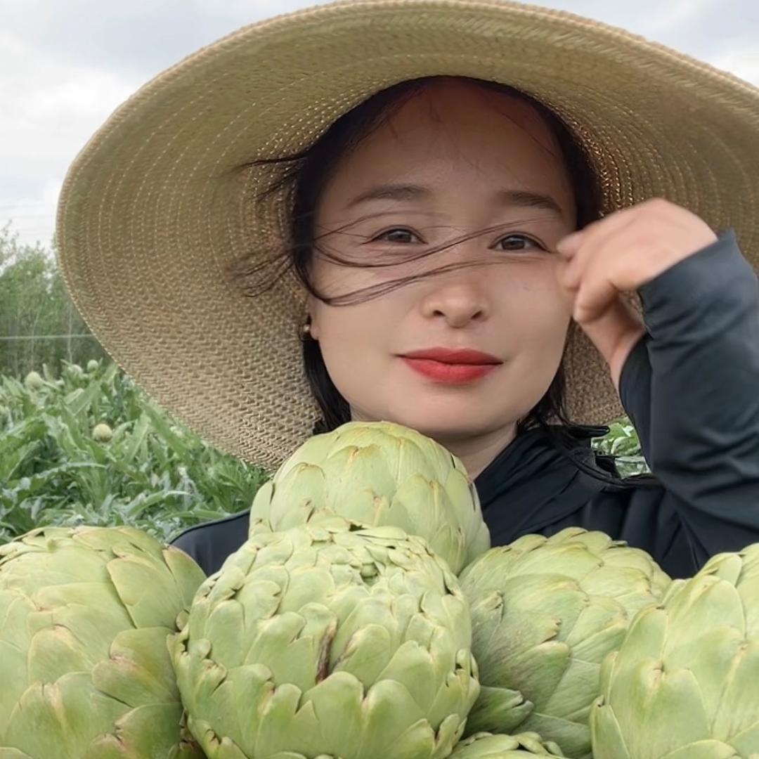 安麦兜