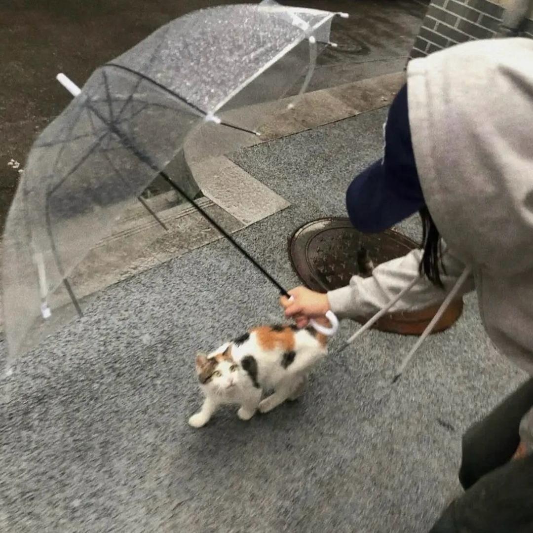 吃饭时不饿