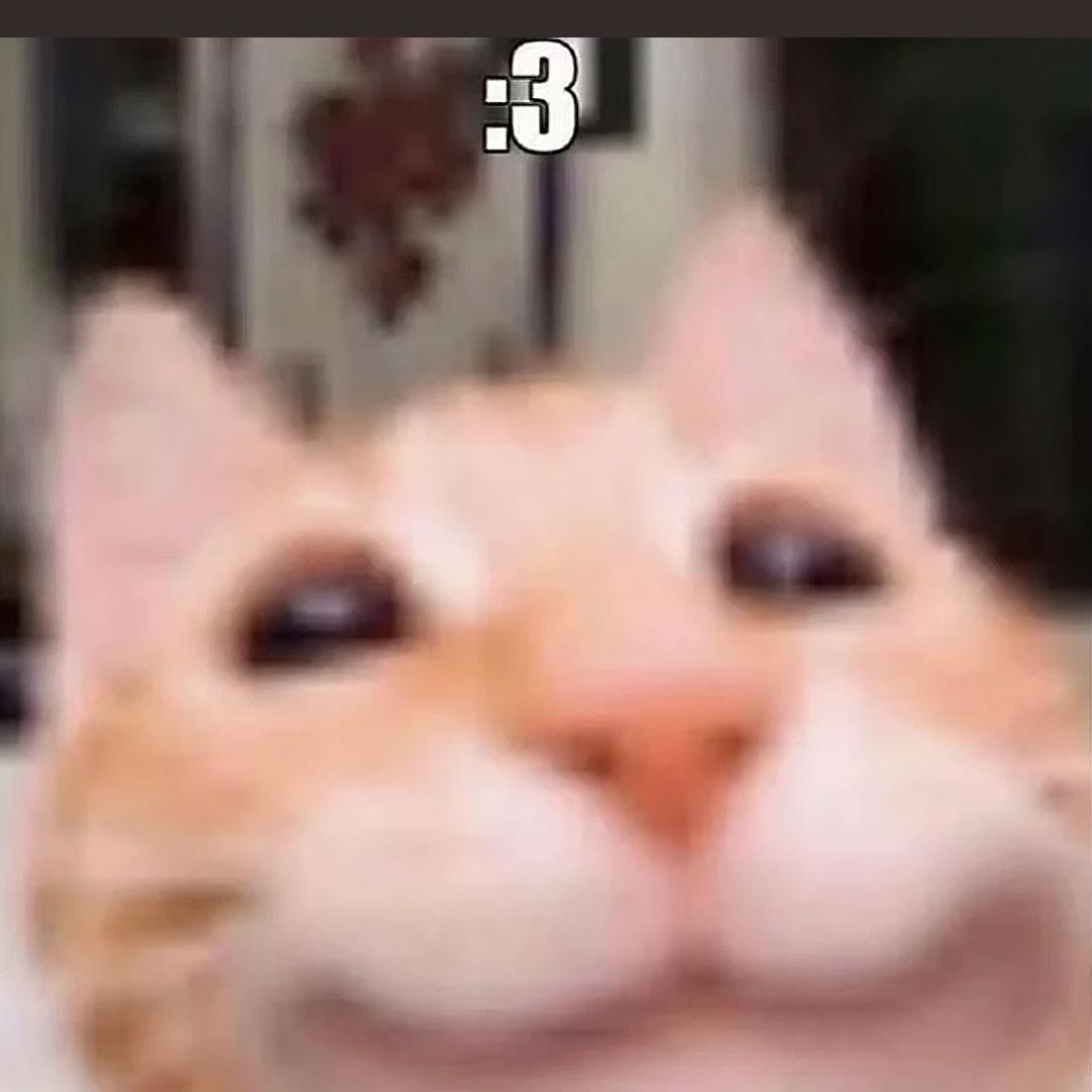 一株想家的花生