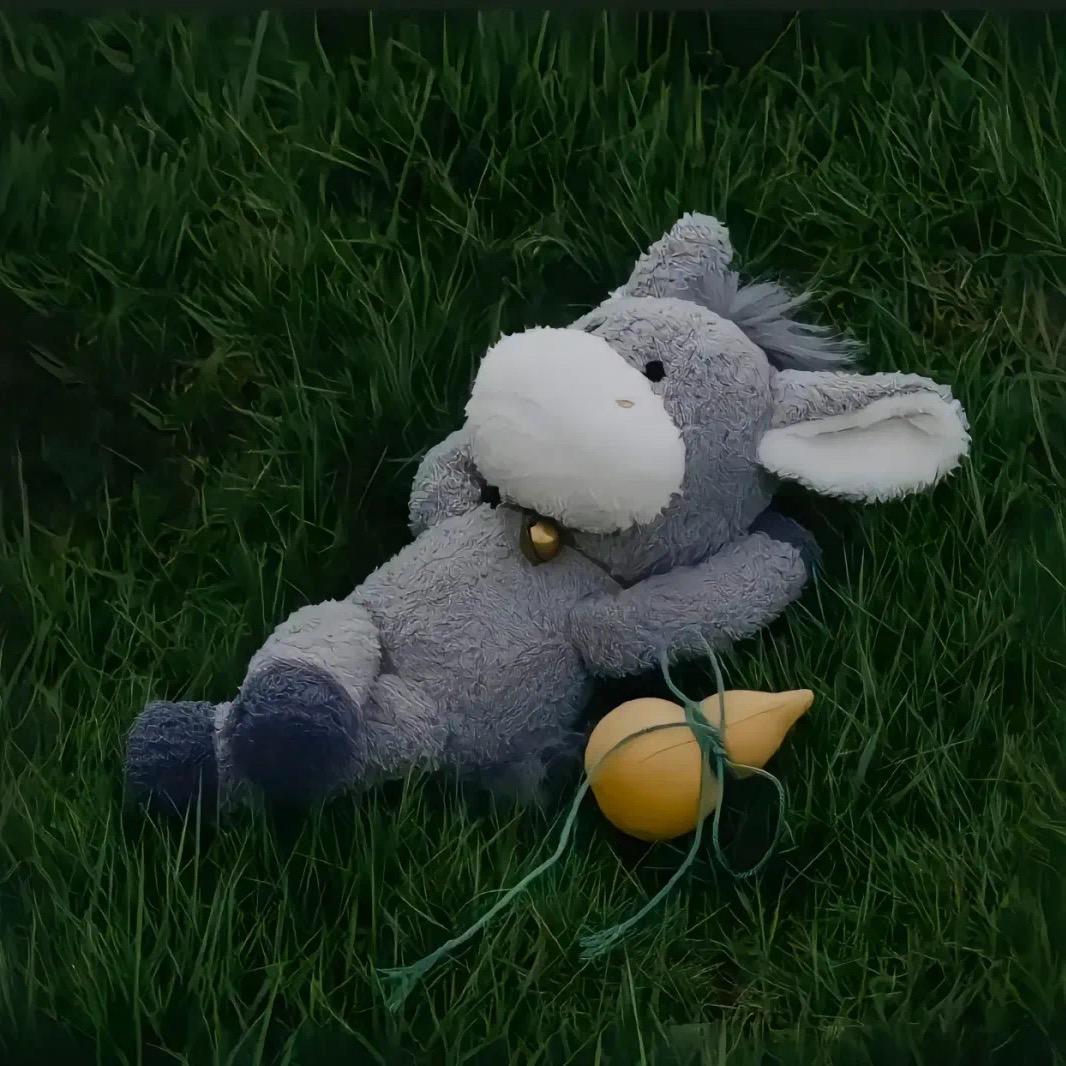 ♉吃饱饱，没烦恼✨