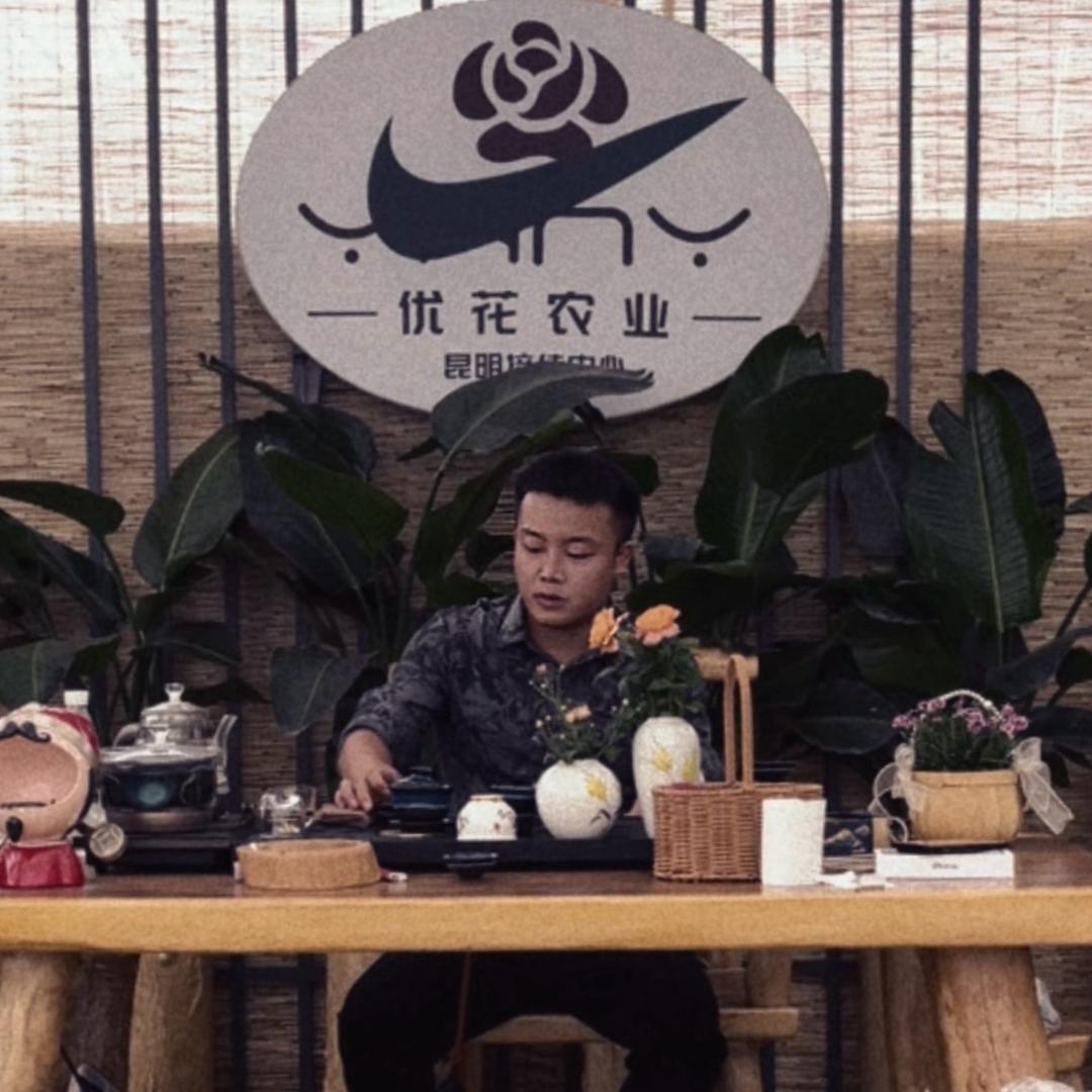 优花.北美冬青基地