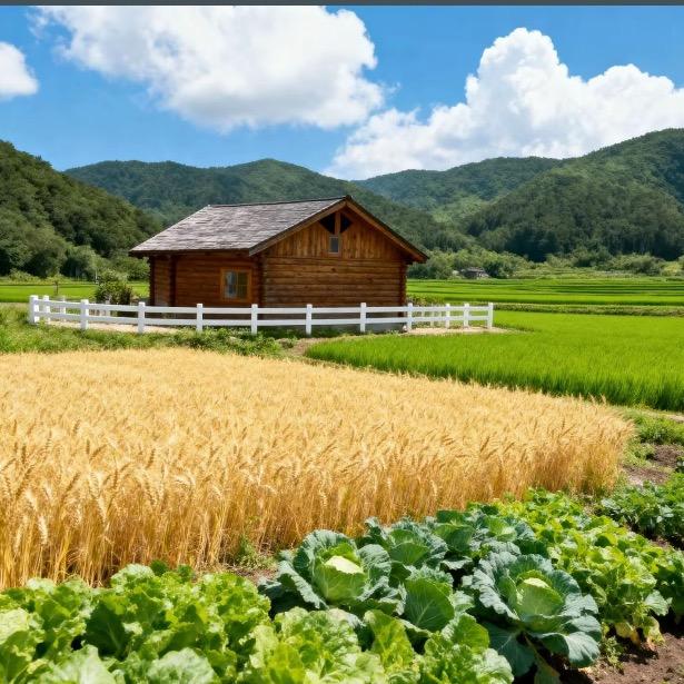 陈陈农场