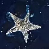 靠在于适的肩膀上