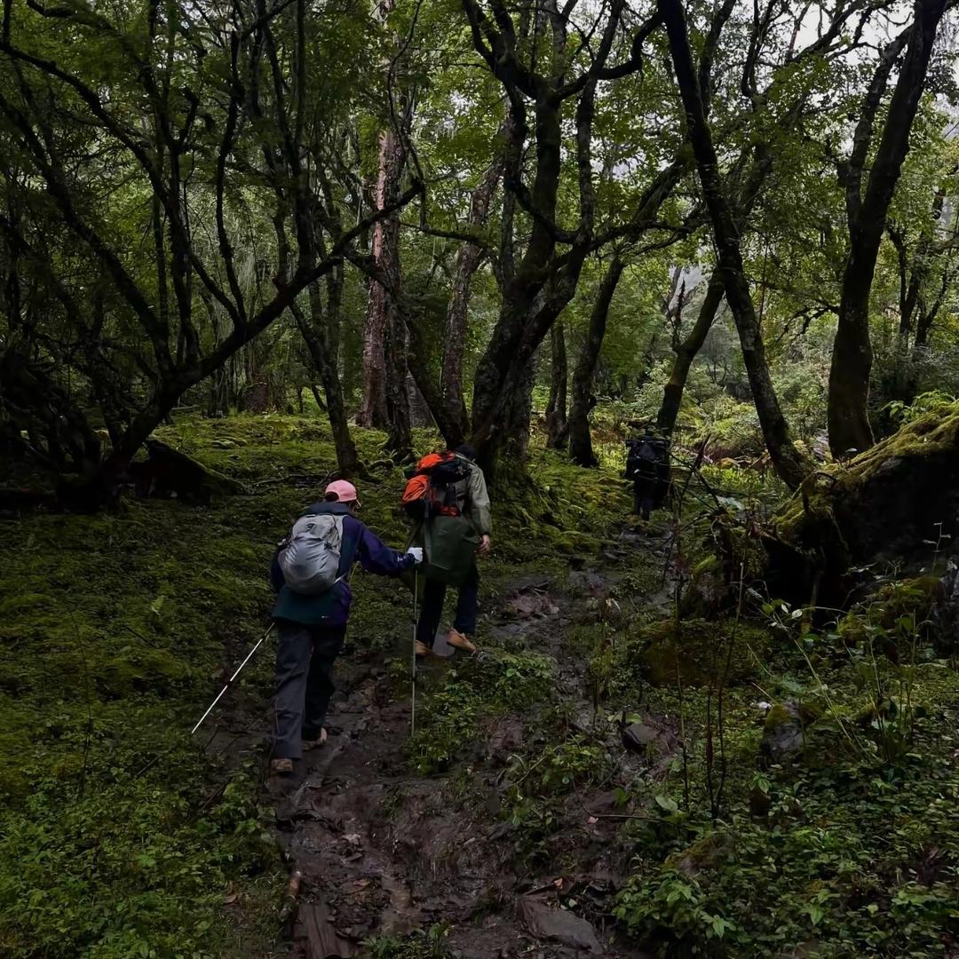 ￴ ￴ ￴￴ ￴￴￴