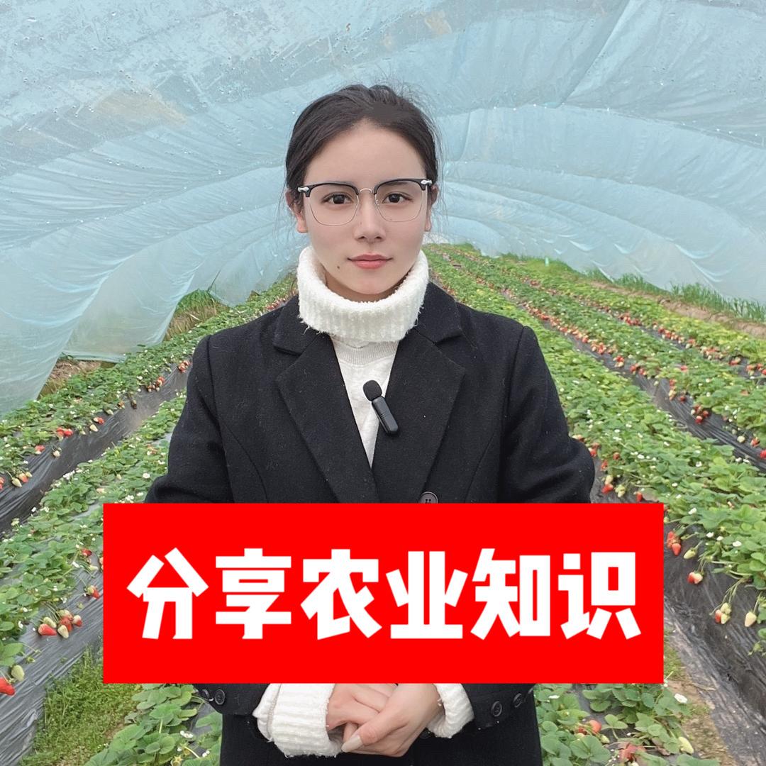 农业种植韩老师