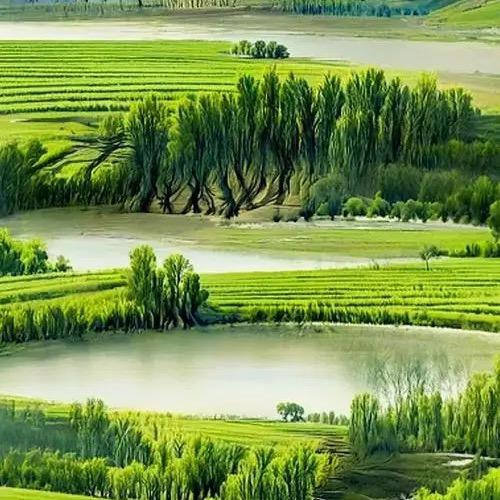 任任商户护理馆11