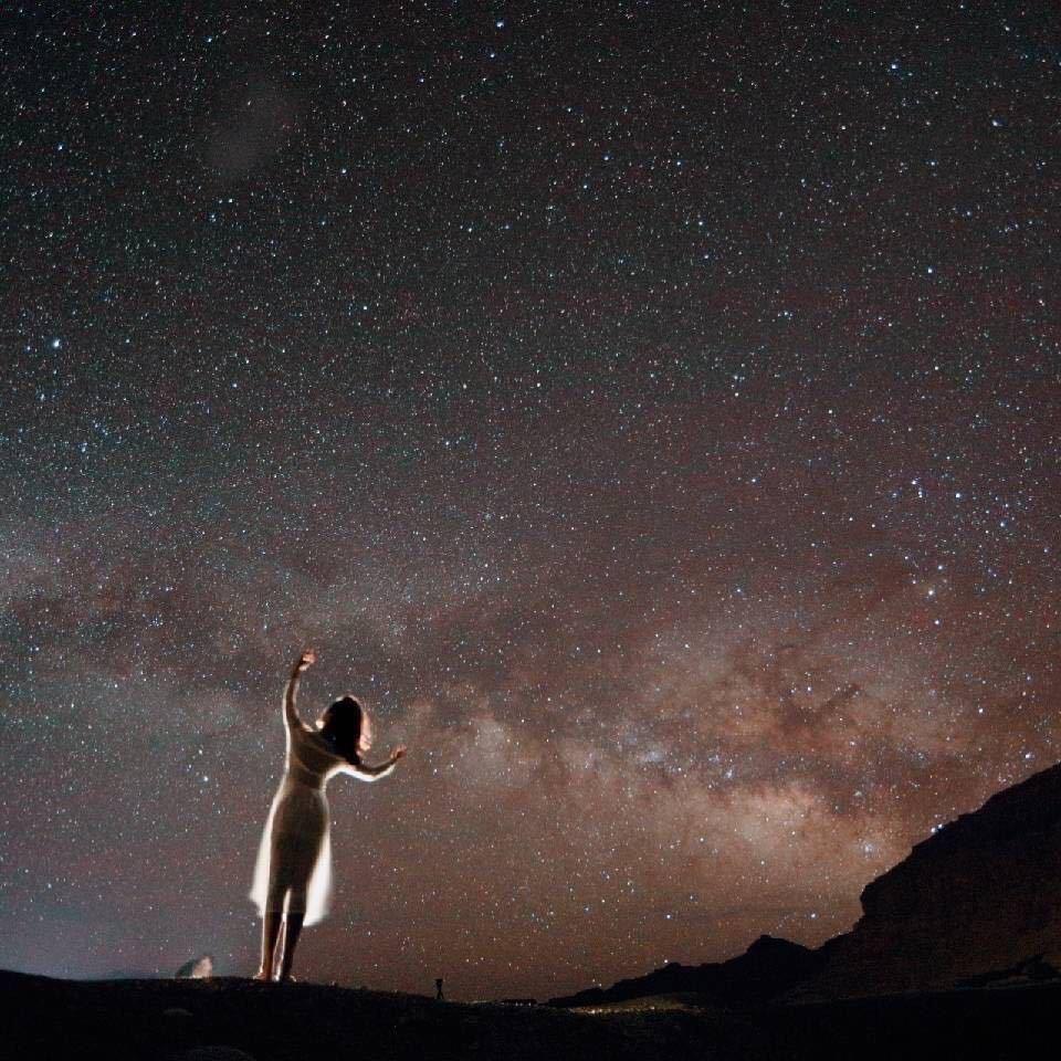 冰～皮皮是只小泰迪🐶