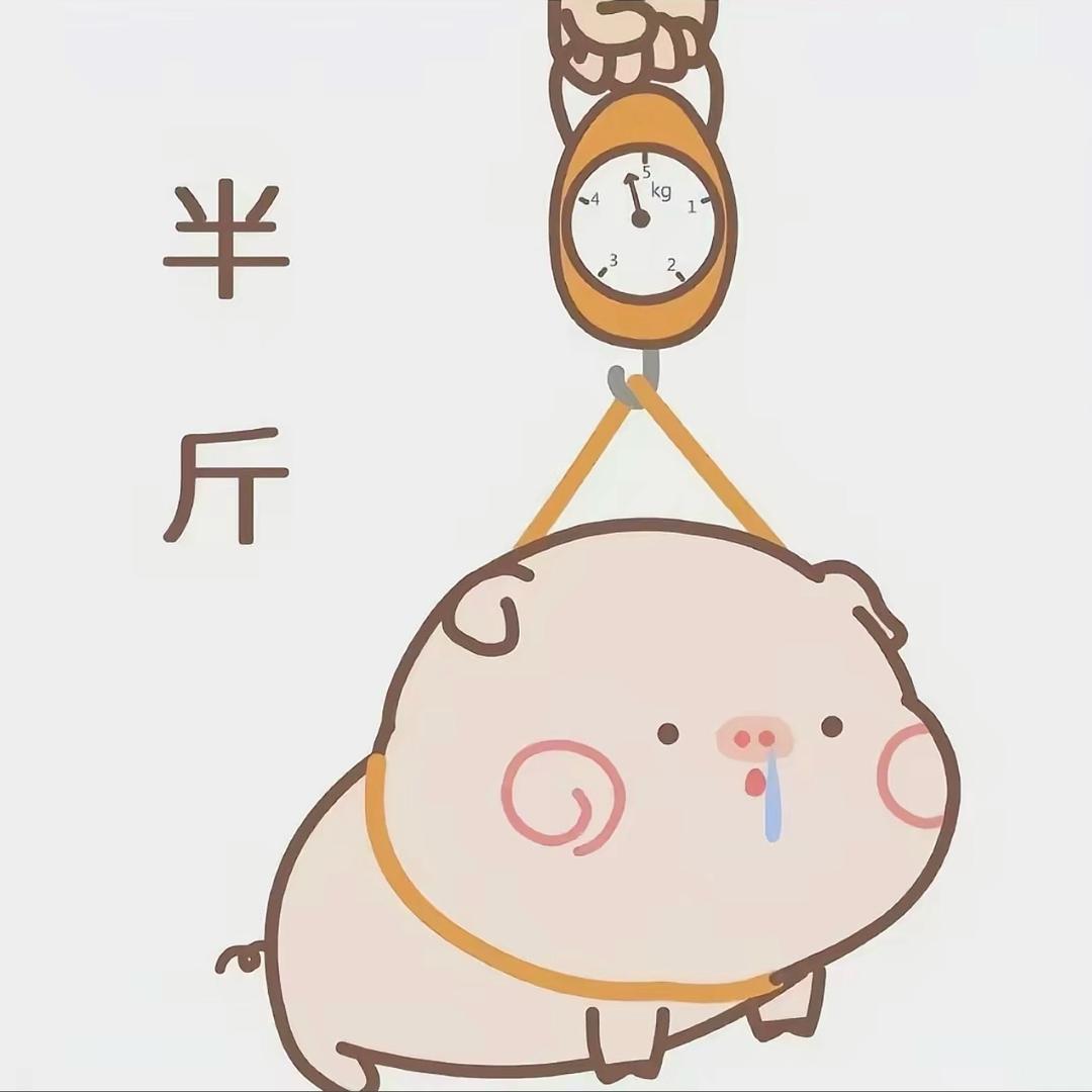 ꒰ঌ ᝰꫛꫀꪝ ໒꒱MOMO