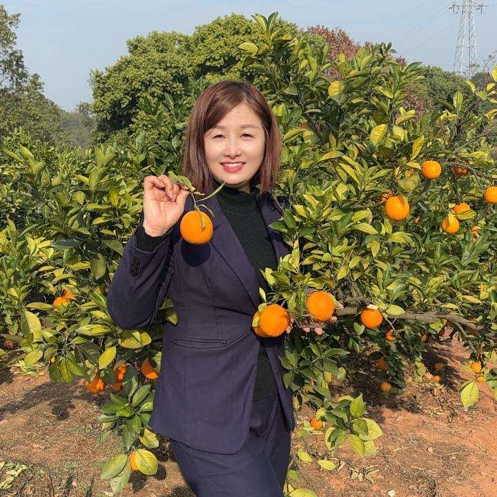 💎信丰瑛芷花艺🍀