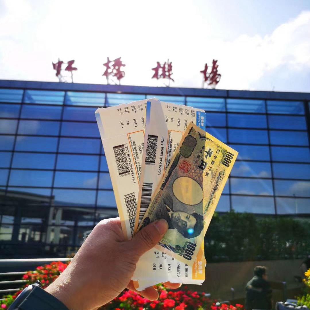 不会拍的肥猫