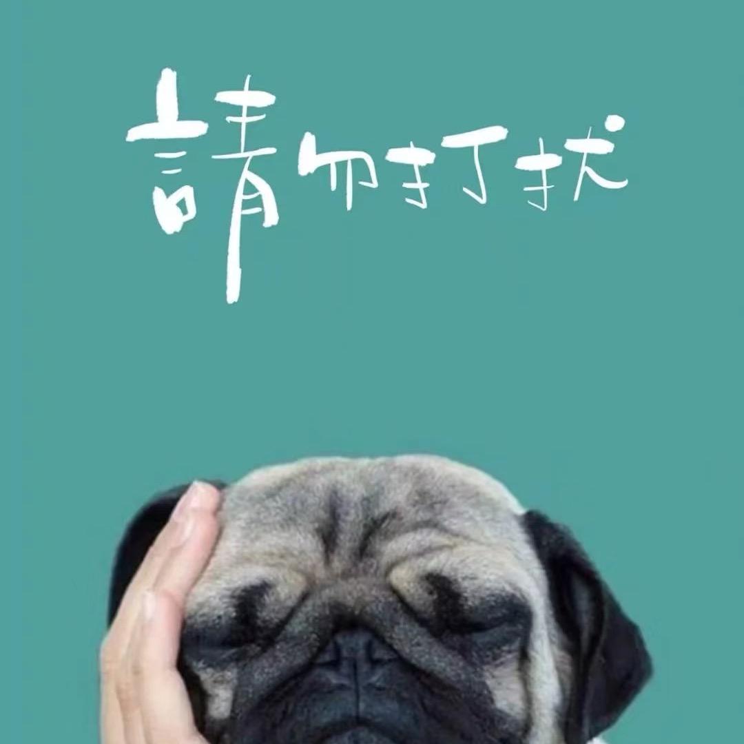 聪明蛋🍒