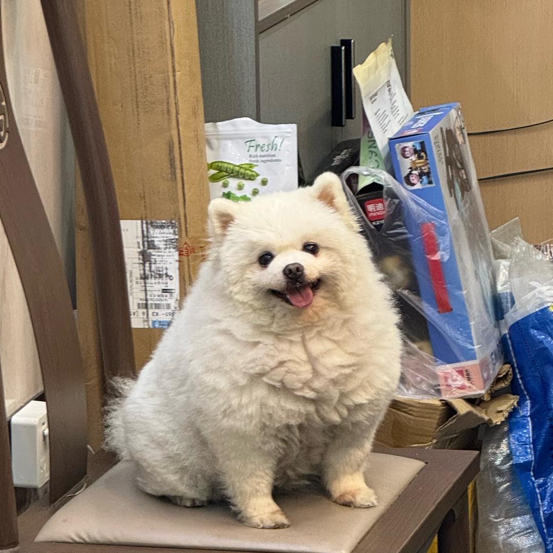 人生得意须尽欢(ง ˙o˙)ว