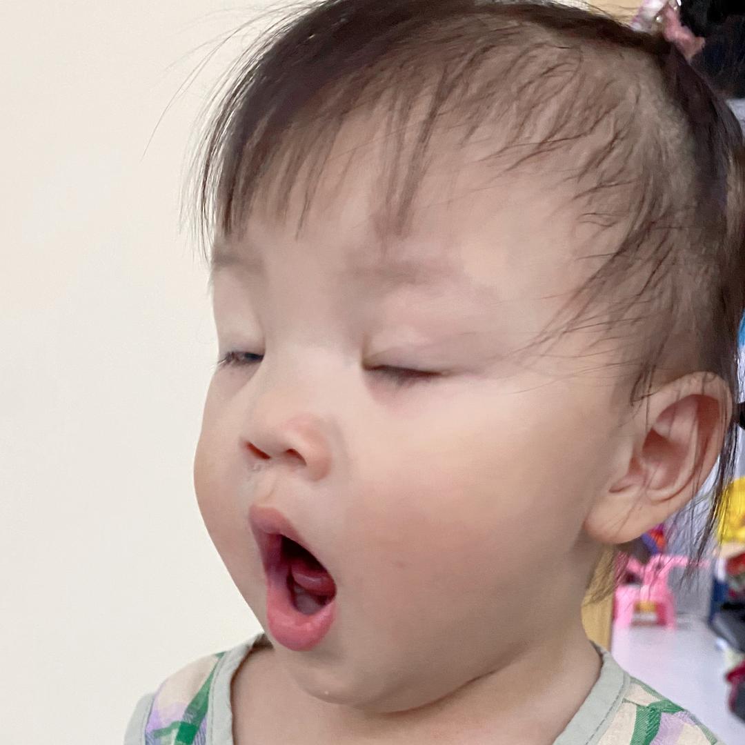 嗷嗷的一天