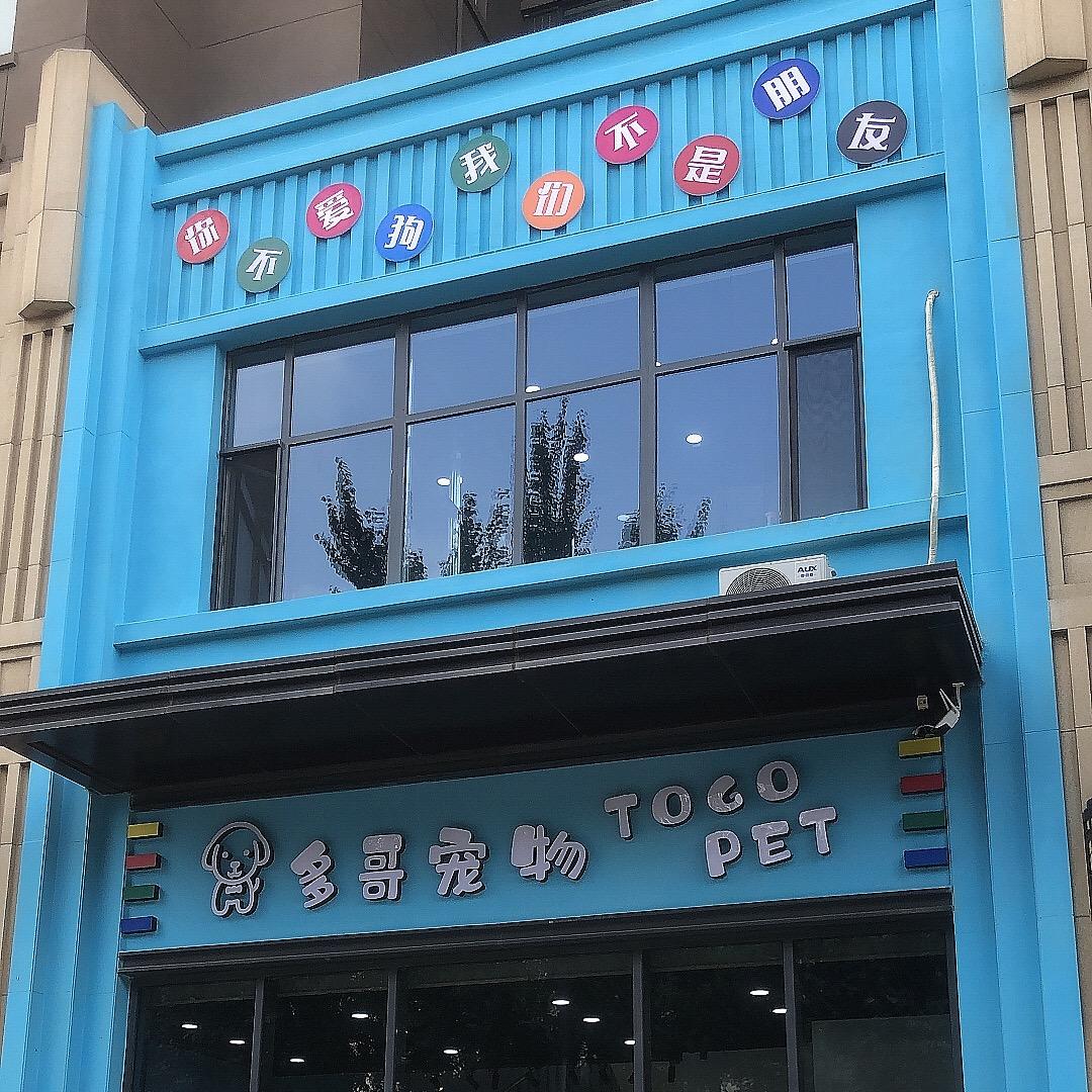 多哥宠物