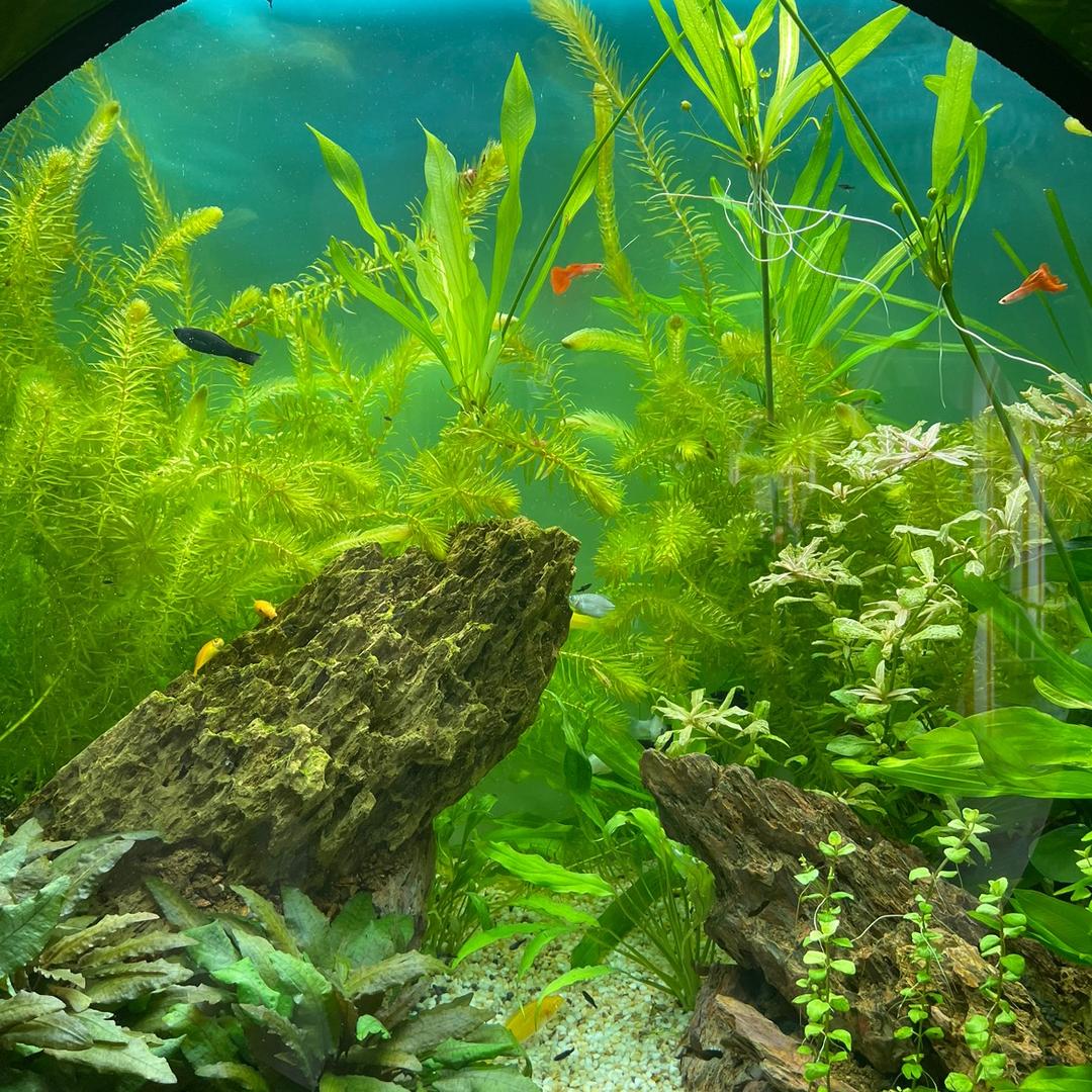 突然醒来的黑夜