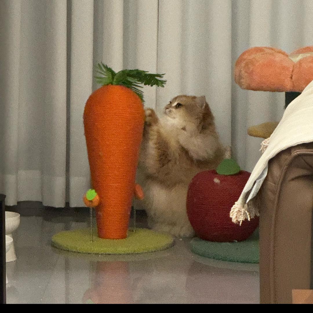 幸福就好啦啦啦啦