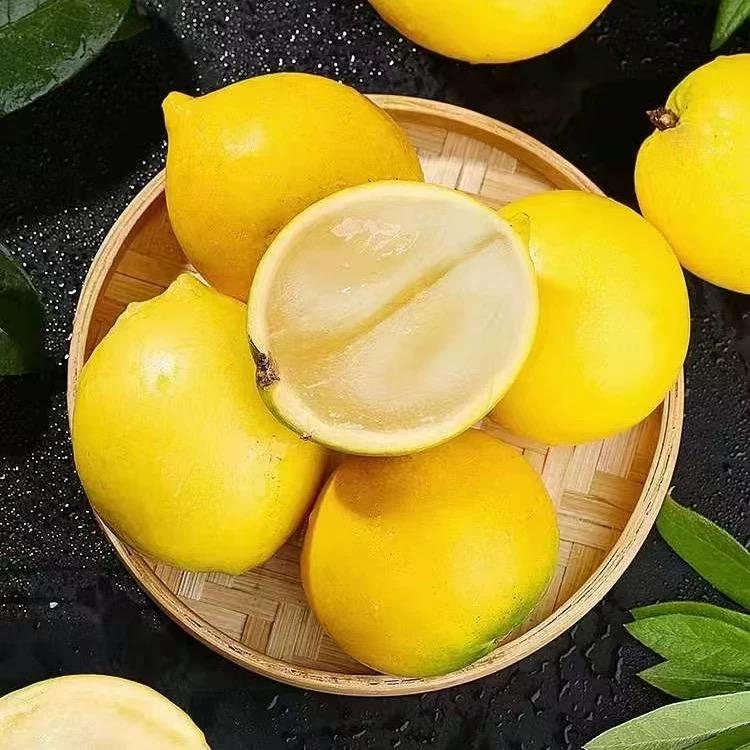 果倍喜黄晶果基地