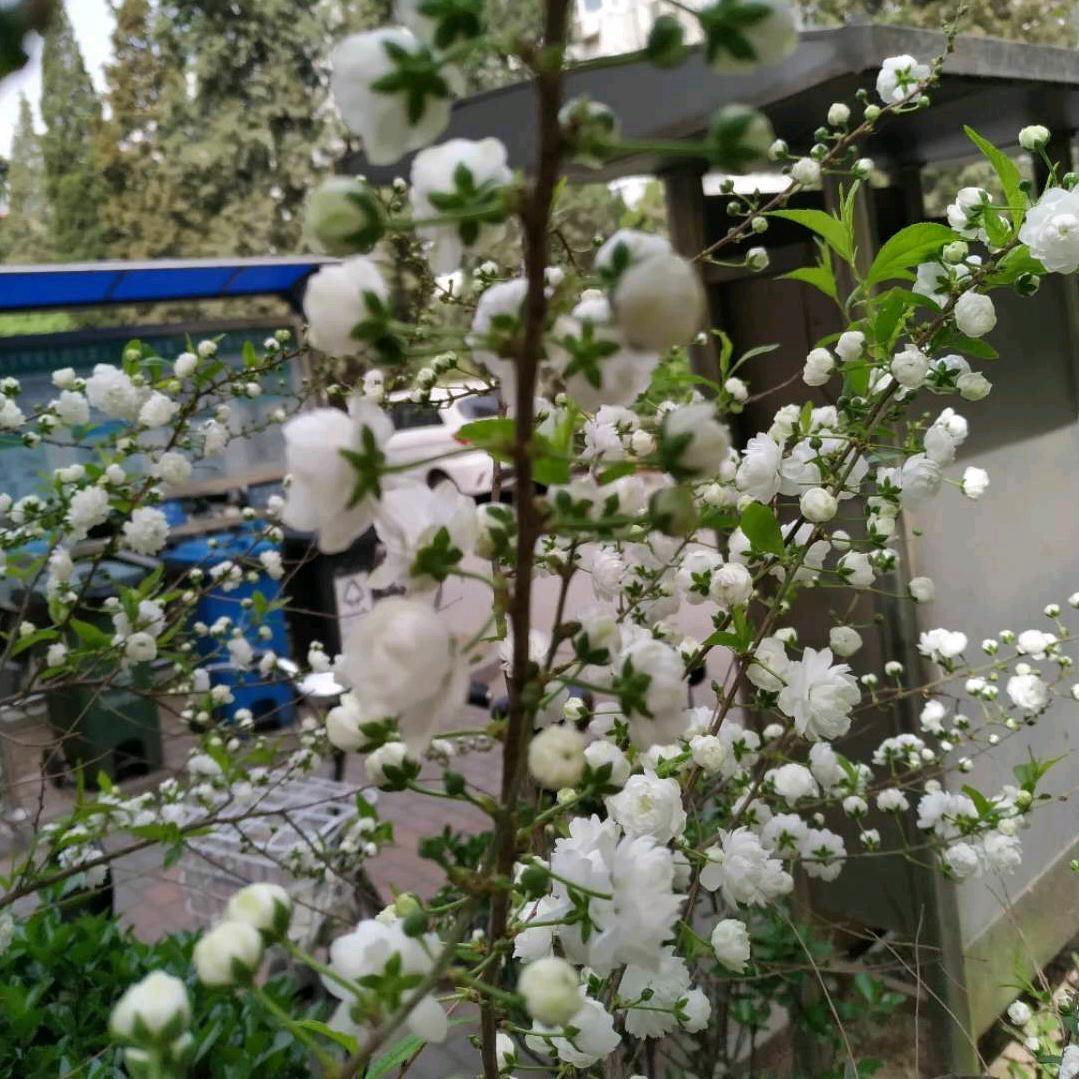 源头工厂直播号