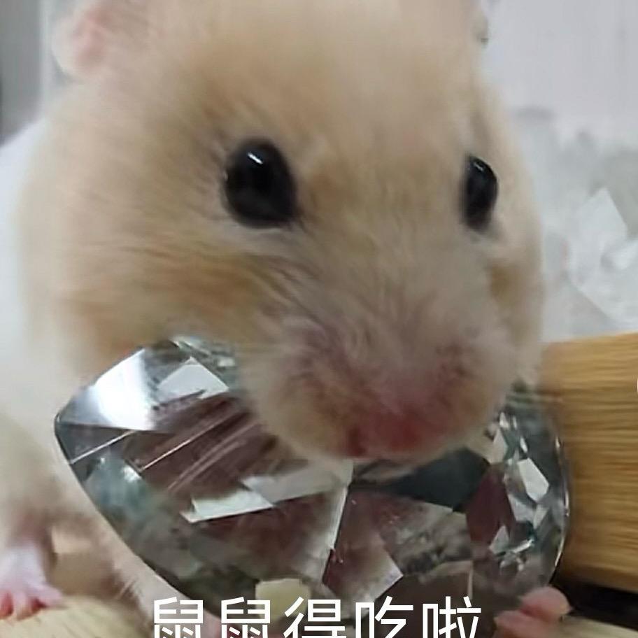 天霸吱(三角洲行动)