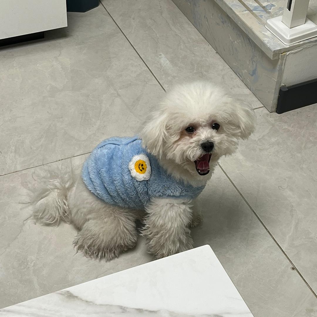 小阳啊