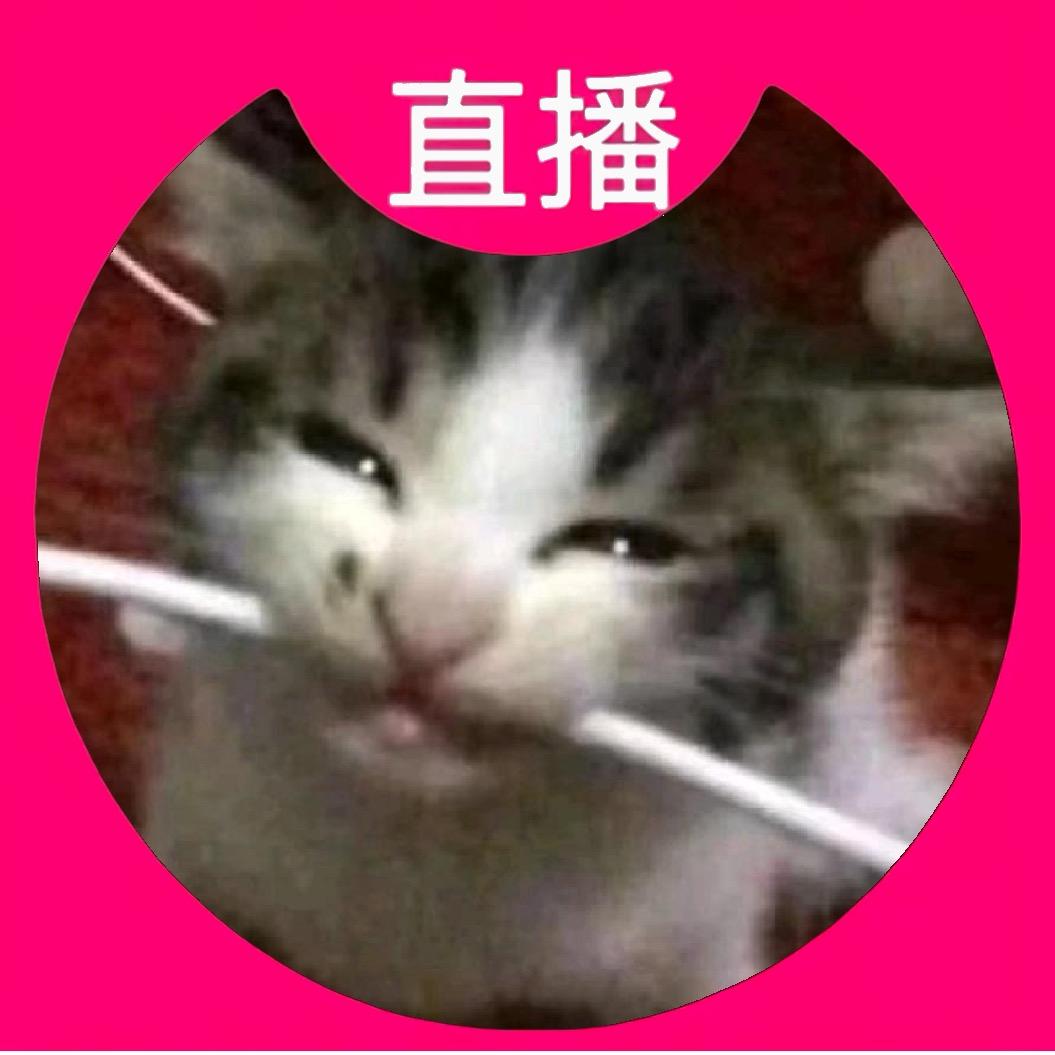 电光狗熊